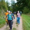 09 b Schluchensteig Etappe 4 - 6